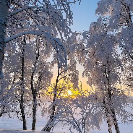 Lapland Dream Destinations Gæstehus