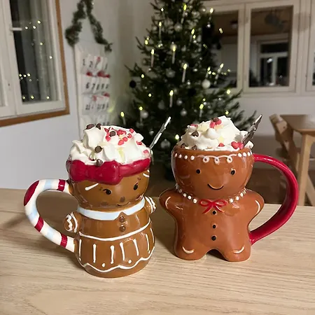 Gæstehus Lapland Dream Destinations