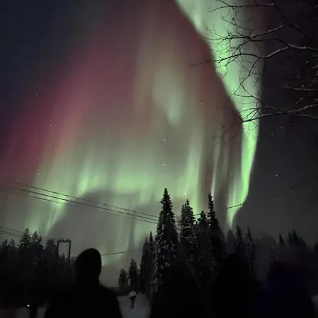 Lapland Dream Destinations 3*